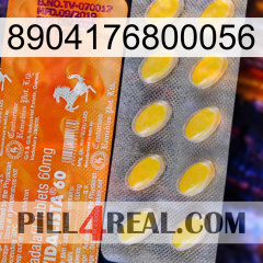 8904176800056 new05